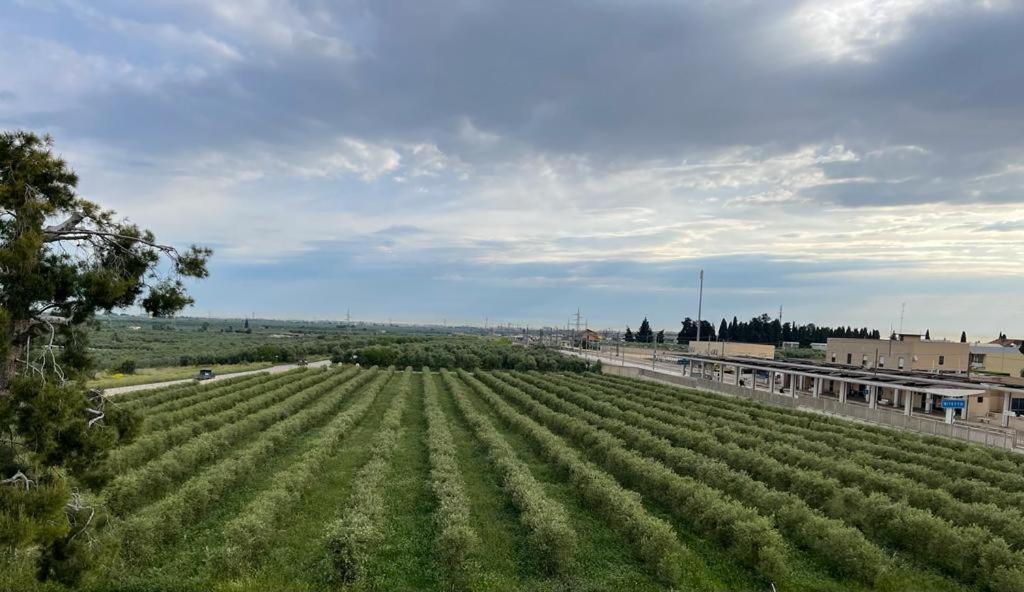 Villa Nascente Bitetto Екстериор снимка